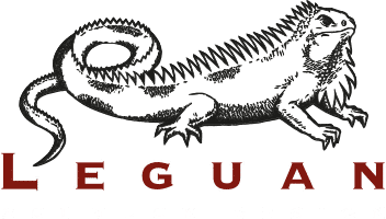 Leguan-Schuck-Design-Logo
