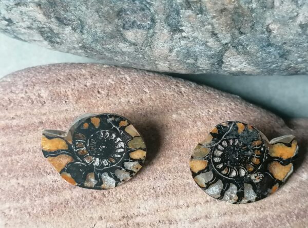 Ohrstecker Ammoniten Paar Silber 925 Unikat Fossil Cleoniceras Kreide  Marokko